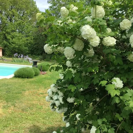 Bed & Breakfast Clos De Bartinquie