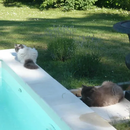 Clos De Bartinquie Lalinde