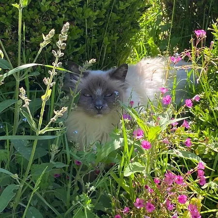 Clos De Bartinquie Отель типа 