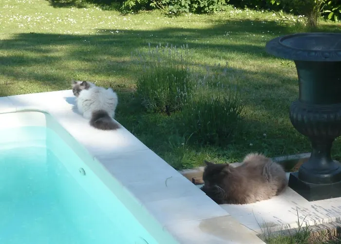 Clos De Bartinquie Lalinde