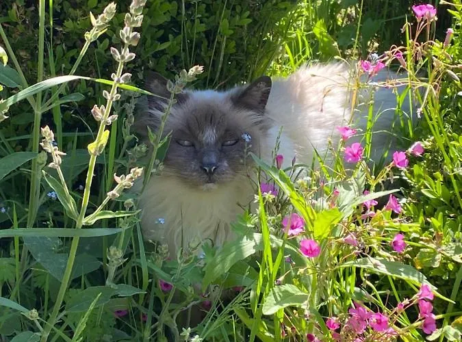 Clos De Bartinquie Bed and breakfast